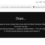 how to fix js error